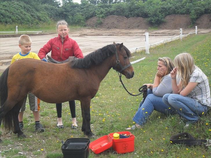 Anden særlig race Mae billede 9