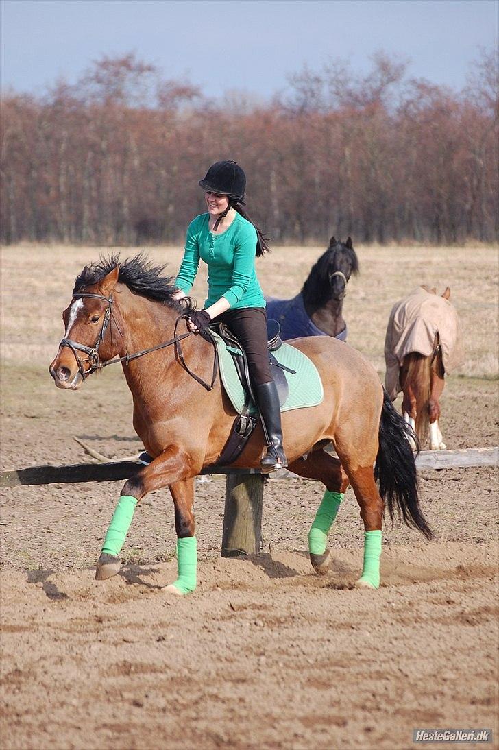 Anden særlig race  Pardo - A Part Of Me! :* -  "Tag en stille dans. Ikke så hurtigt. Livet er kort. Hør musikken inden sangen er forbi...." Foto: Tenna Andersen! billede 3