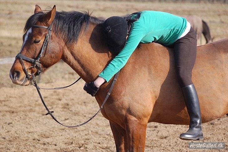 Anden særlig race  Pardo - A Part Of Me! :* -  - Jeg valgte at starte en vej. En vej sammen med dig. Nu håber jeg bare jeg kan afslutte vejen sammen med dig. :´D Foto: Tenna Andersen billede 7