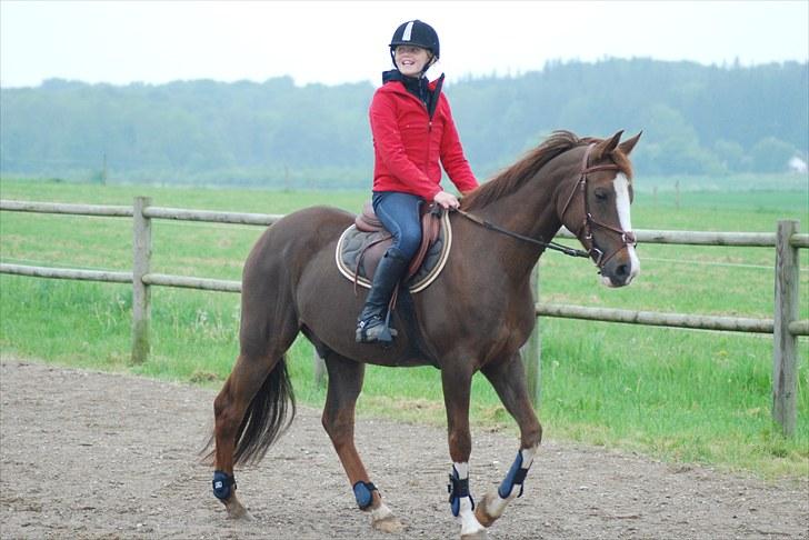 DSP Kløverlunds C.C - Måske lidt glad, men det bliver man også når man rider ham. :) (mester fotograf: Emilie Rand) (søster) billede 7