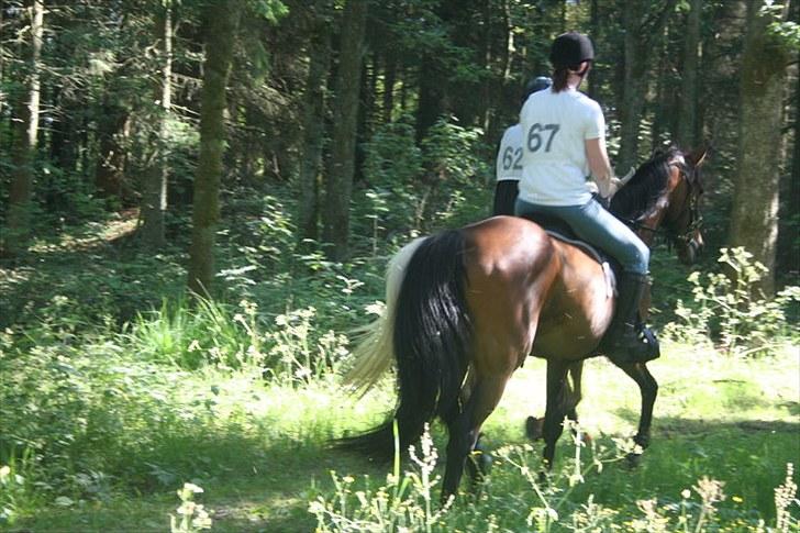 Traver zonny - romridtet 2010 billede 5