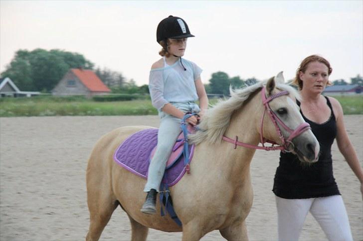 Anden særlig race Isabella - mor hjælper monique med at stige op! det går så godt med jer ;-) billede 9