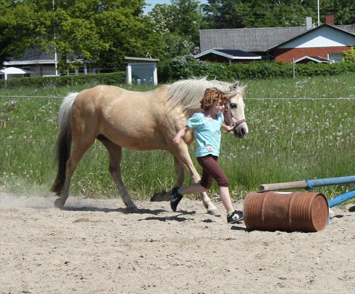 Anden særlig race Isabella billede 10