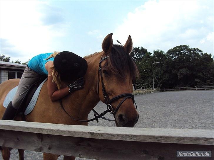 Anden særlig race Star<3*Rider* - Skal til at skridte af, Juli 2010. Foto: Camilla Frederiksen billede 10