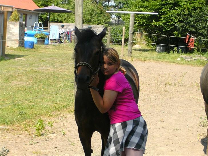 Anden særlig race toffie  - velkommen til toffie´s profil :)) billede 1