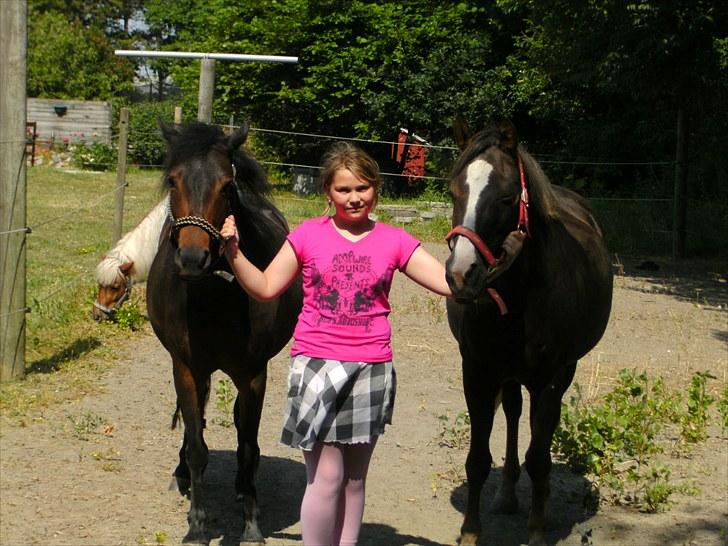 Anden særlig race toffie  - toffie,mig og liberty billede 5