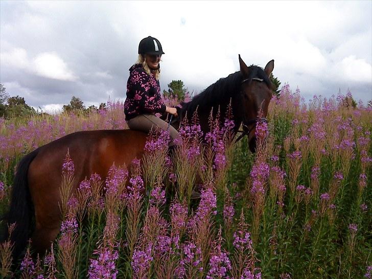 Anden særlig race Salsa Af Sulsted *Solgt* - 13) Vi elsker blomster ;D  2009 billede 13