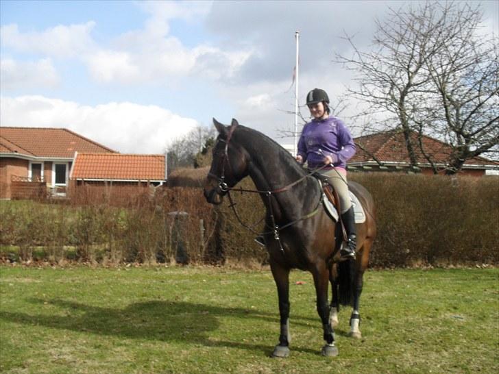 Anden særlig race Salsa Af Sulsted *Solgt* - 14) På tur hjemme hos mig engang i 2010 :)  billede 14