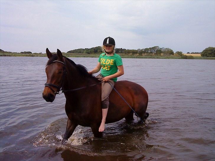 Anden særlig race Salsa Af Sulsted *Solgt* - 16) Ude og bade ;D , 2009  billede 16