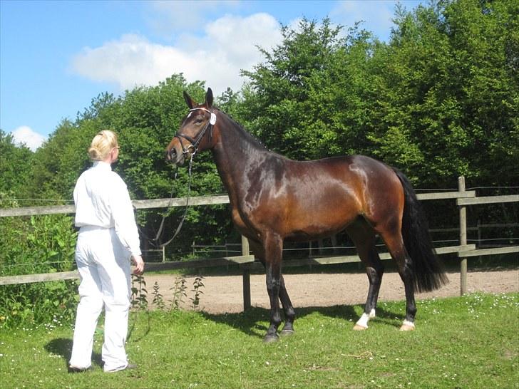 Oldenborg Creamy Nygård billede 7