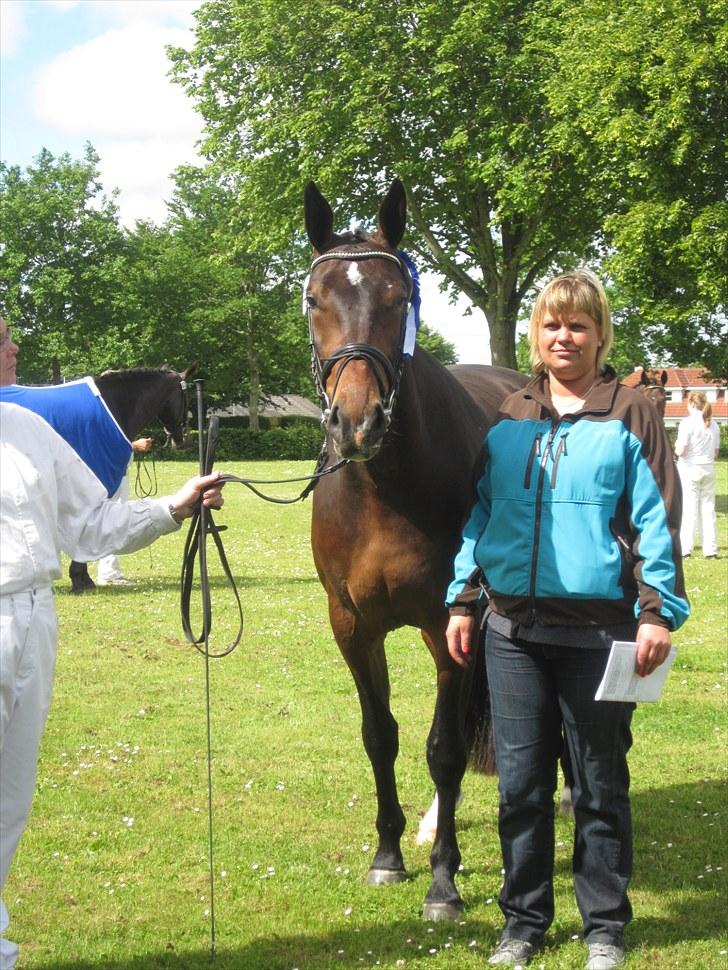 Oldenborg Creamy Nygård billede 8