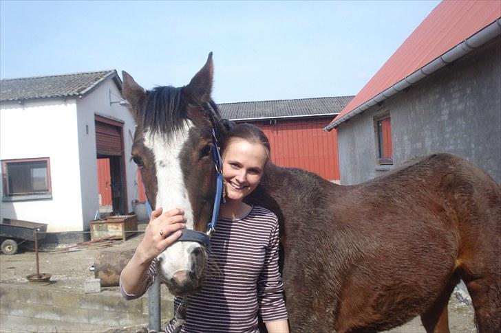 Traver Harlekin Laser billede 8