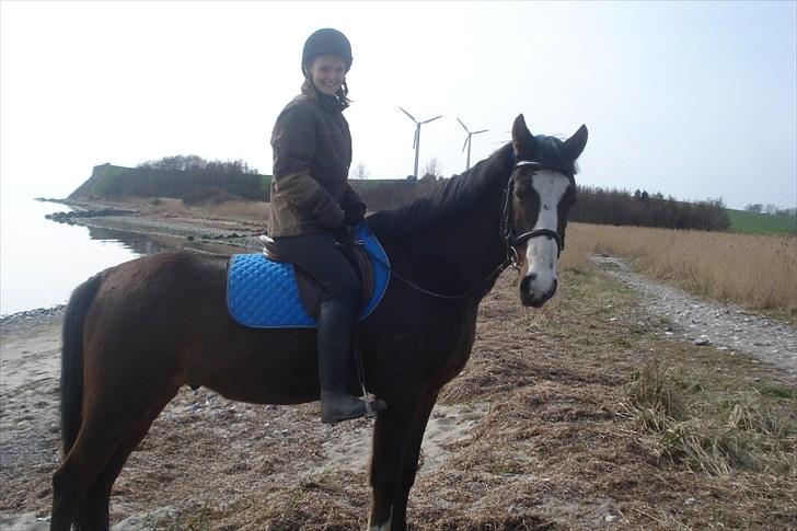 Traver Harlekin Laser billede 10