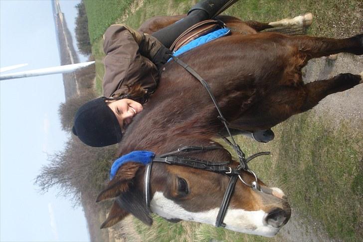 Traver Harlekin Laser billede 11