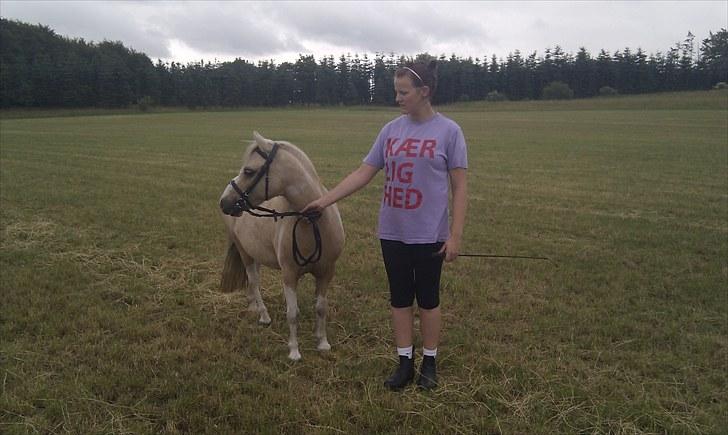 Anden særlig race Bella Star billede 10