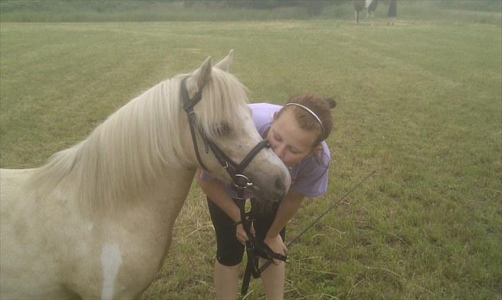 Anden særlig race Bella Star - Dejlige pony :-* billede 12