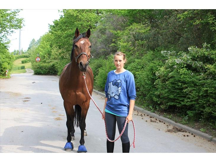 {{currentPhoto.altText}} billede {{currentPhoto.number}}