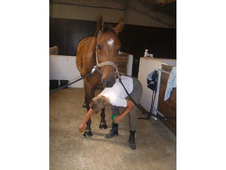 {{currentPhoto.altText}} billede {{currentPhoto.number}}