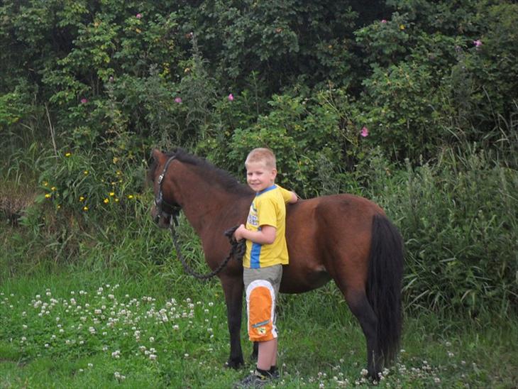 {{currentPhoto.altText}} billede {{currentPhoto.number}}