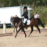 Anden særlig race Angel <3