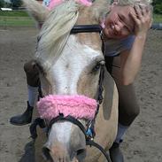 Anden særlig race Palle