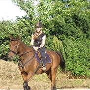 Fuldblod (XX) Eduard (Eddie)