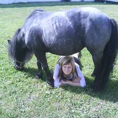 Anden særlig race Tøsen<3