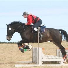 Oldenborg Siegård's flexness