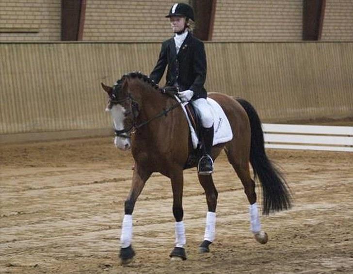 Anden særlig race Monique - dressur med Emma billede 5