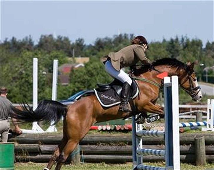 Anden særlig race Monique billede 8