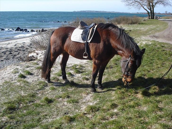 Oldenborg Line Hornbæk billede 19