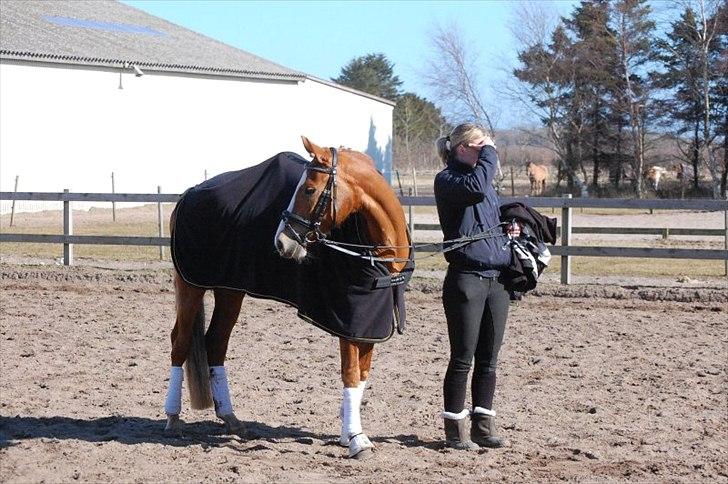 Anden særlig race Nørregårdens My Lady  - Lady & Jeanette :-). taget af Camilla. billede 14