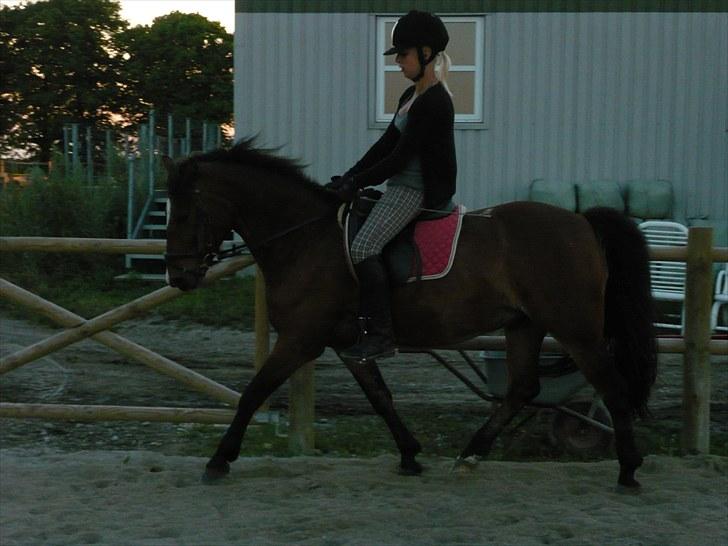 Anden særlig race  | Cantos Caballero - 2. Gang jeg rider Cantos ;) billede 2