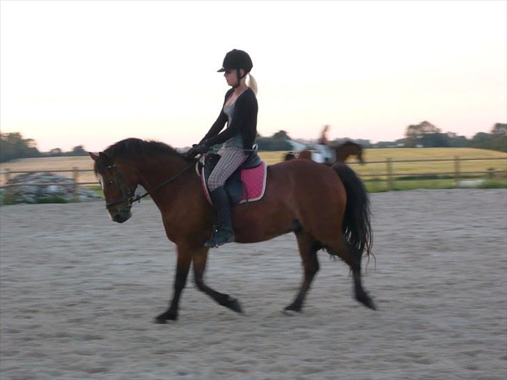 Anden særlig race  | Cantos Caballero - 2. Gang jeg rider Cantos ;) billede 4