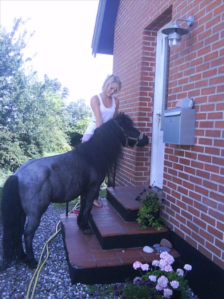 Anden særlig race Tøsen<3 - 10:Ja Tøsen og Christinna er hvis på vej ind he he :D <3 billede 10