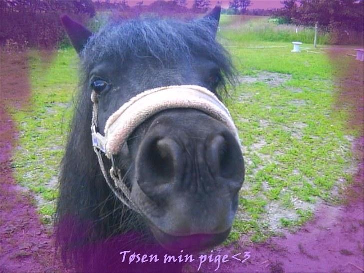 Anden særlig race Tøsen<3 - 11:Tøsen.. ;D billede 11