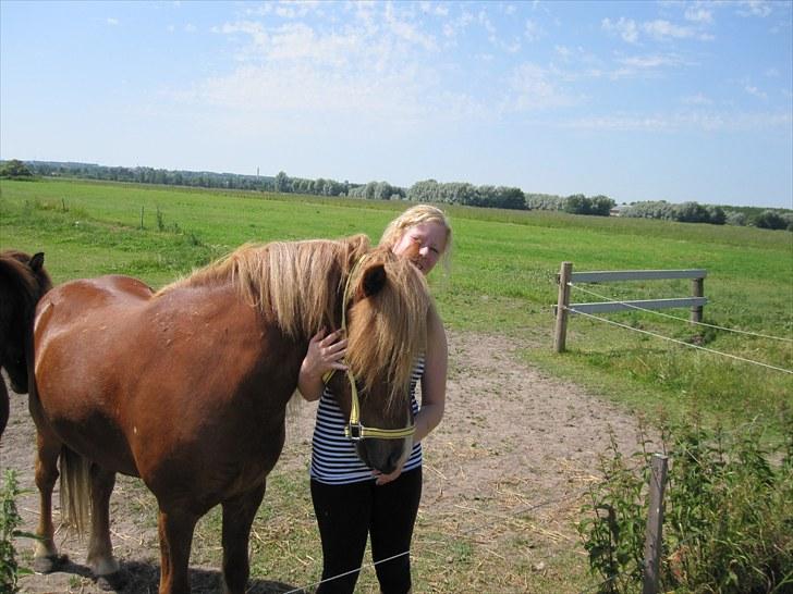 Islænder Mundilfari frá Meldgaard - Blesi og Jeg<3  billede 18