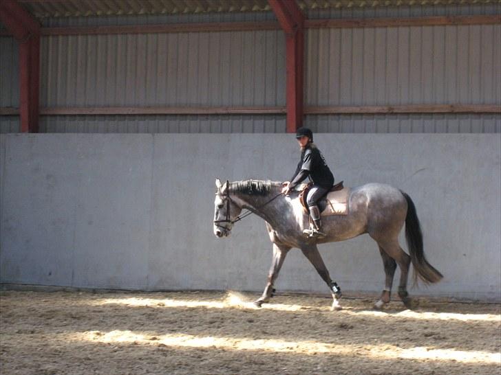 Anden særlig race Smukke SOLGT billede 18