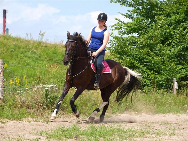 Anden særlig race Lundgaards Pocahontas  - 14. Flot spring gallop Foto: KK billede 14
