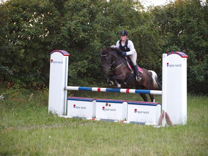 Anden særlig race Lundgaards Pocahontas  - 15. Spring på rideskolen 90-95 cm  Foto: KK billede 15