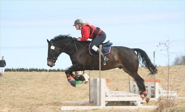 Oldenborg Siegård's flexness - Military stævne i NBKR 9-10/4 2011 Foto: Morten Fiil billede 2