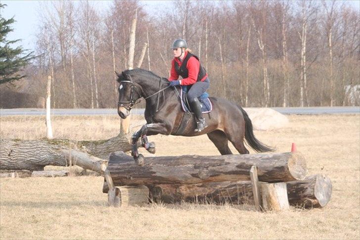 Oldenborg Siegård's flexness - Terræn træning den 12/3-2011 på Nørregård ved landstræner Lars Christensson Foto: Morten Fiil billede 8
