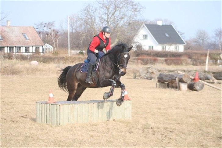 Oldenborg Siegård's flexness - Terræn træning på Nørregård 12/3-2011 ved landstræner Lars Christensson Foto: Morten Fiil billede 9