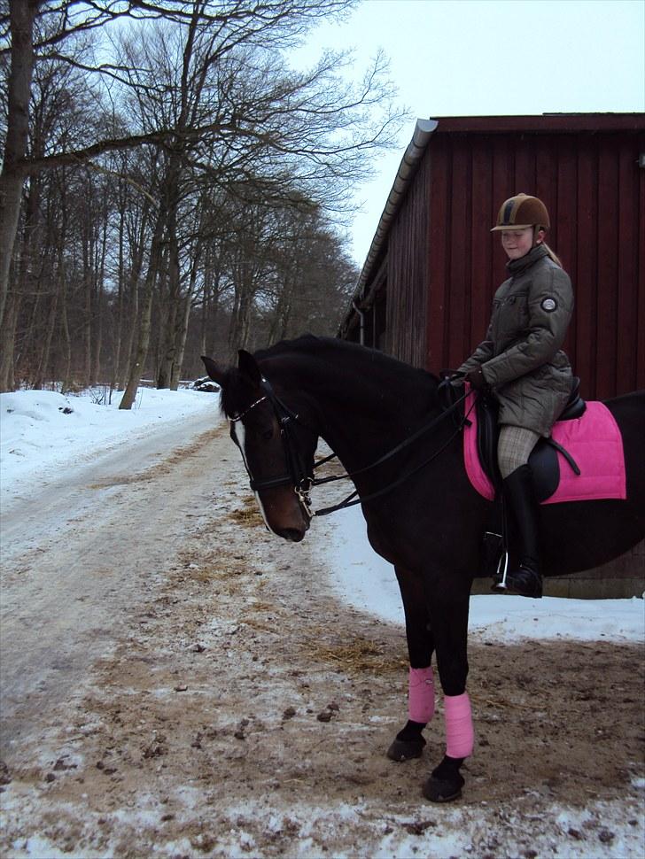 Oldenborg soffie billede 1