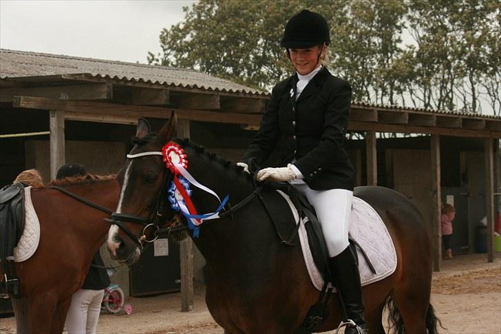 Anden særlig race Angel <3 - vinderpony - første stævne. billede 7