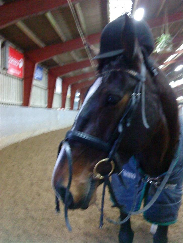 Oldenborg soffie billede 3