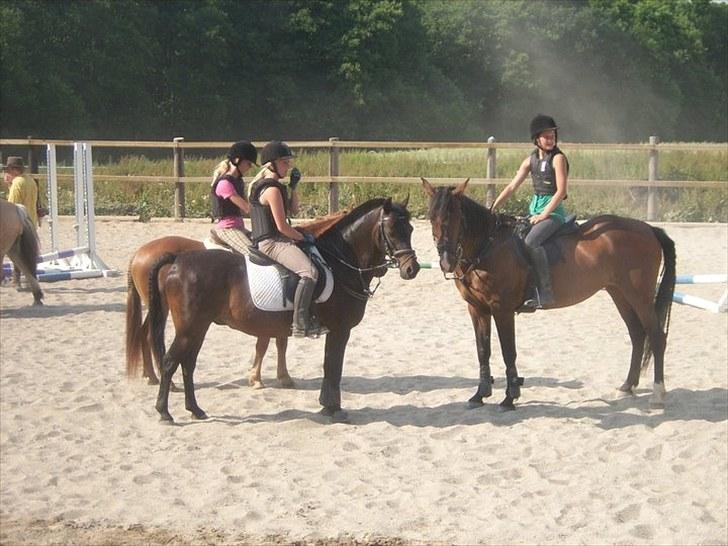 Anden særlig race Tarzan "mit et og alt,-drømme ponyen"<3 - Julie med sin Pony Rusty den røde og Karoline med sin hest Møffeline den til højre (Tarzans kæreste) Og mig og Tarzan. På vores første ridelejer sammen.;D billede 17