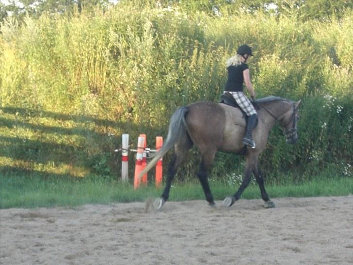Anden særlig race Milancio S - Undervisning juli 2010 billede 7