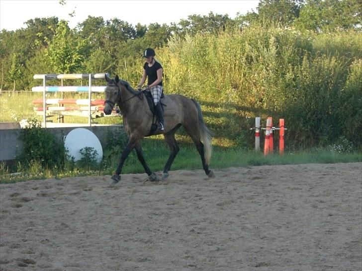 Anden særlig race Milancio S - Undervisning juli 2010, træning af speederen billede 8