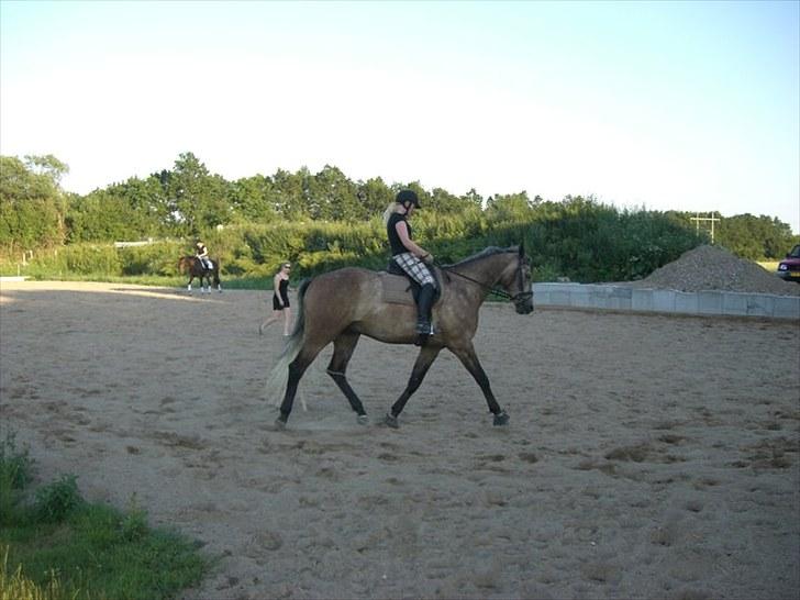 Anden særlig race Milancio S - Undervisning juli 2010 billede 9